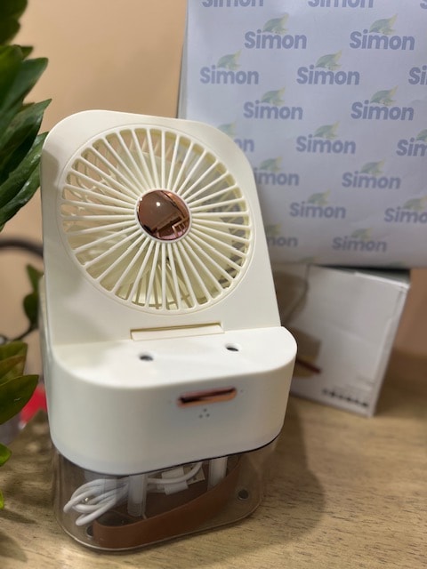 Desk Fan